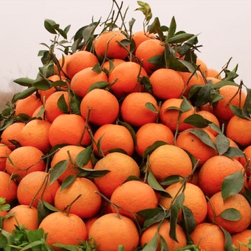 Oranges(مالٹا) - Malta