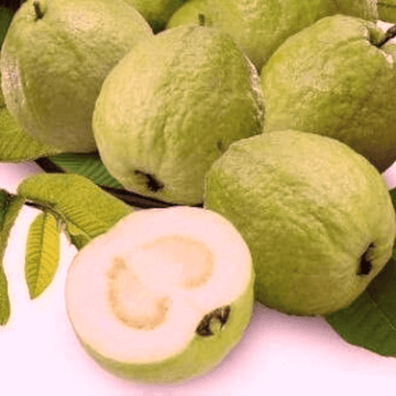 Guavas