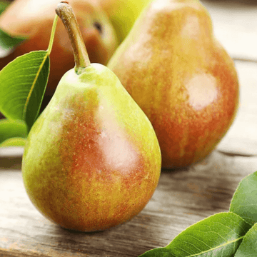 Pears - Nashpati
