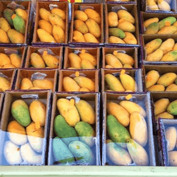 Aamb sindhri -(سندھڑی آم) - 3kg