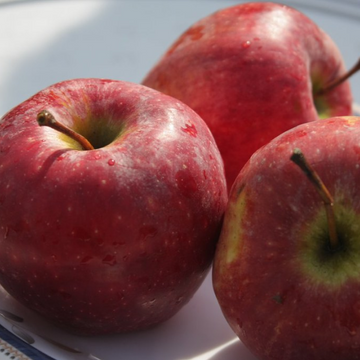 Apple Kalakulu | Saib