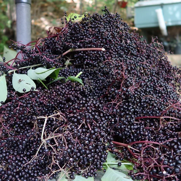 (الڈر بیریز) - 1kg