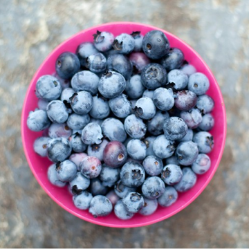 Blueberries 1kg