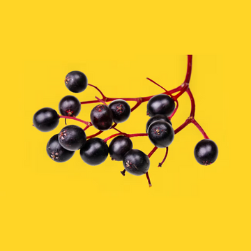 Elderberries - (الڈر بیریز)