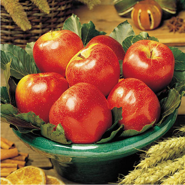 saib(گالا) - 1kg