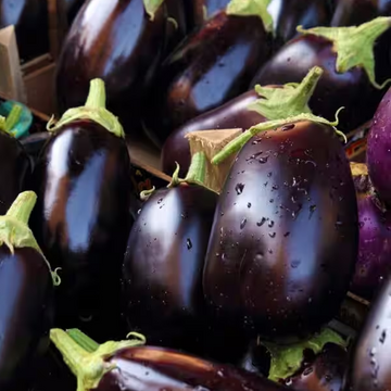 Brinjal-baingun(بیگن)