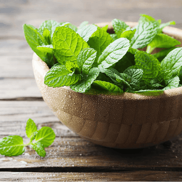 Mint - (پودینہ) Bunch