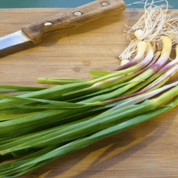 Hara Lehsan(ہرا لہسن)