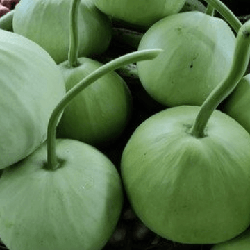 (گھیا کدو) - 1kg