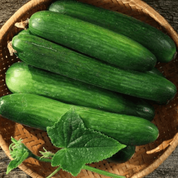 Cucumber - 1kg