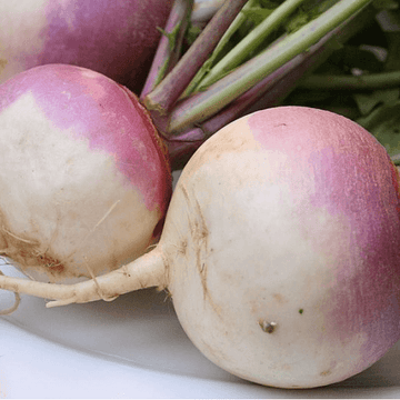 Turnip - 1kg