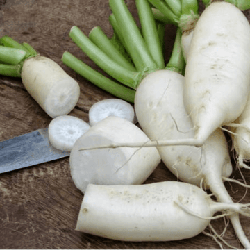 Radishes - Mooli / مولی