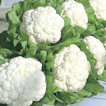 Cauliflower پھول گوبھی