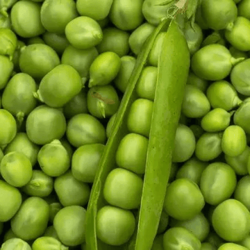Peas - مٹر
