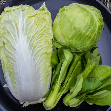Cabbage(بند گوبھی)
