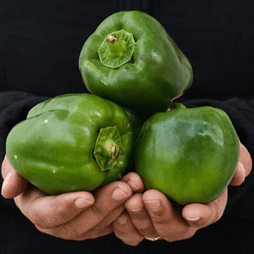 Shimla Mirch (شملہ مرچ) - 1kg