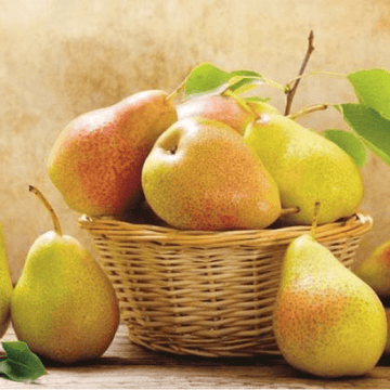 Pears(ناشپاتی) - Nashpati