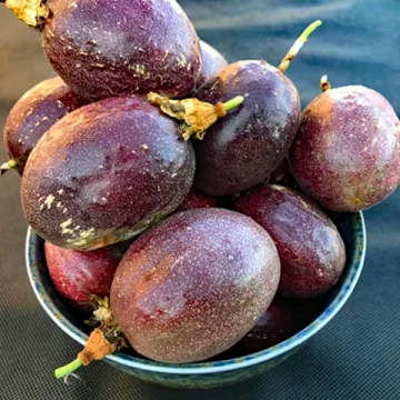 Passion Fruit(پیشن فروٹ)