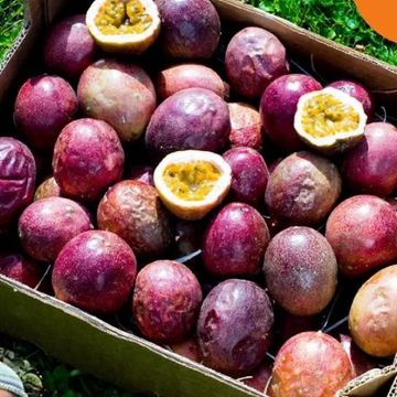 Passion Fruit - (پیشن فروٹ)