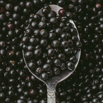 Elderberries(الڈر بیریز) 1kg