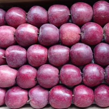 Apple Kalakulu ( سیب کالا کلو)