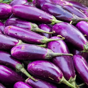 Brinjal baingun - 1kg