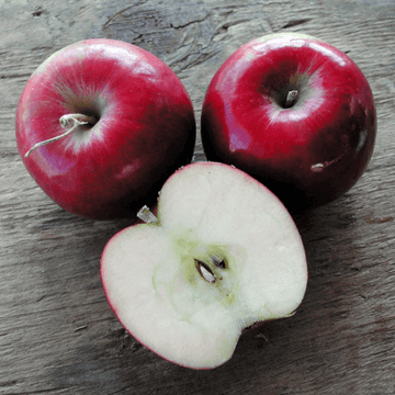 saib(امری) - 1kg