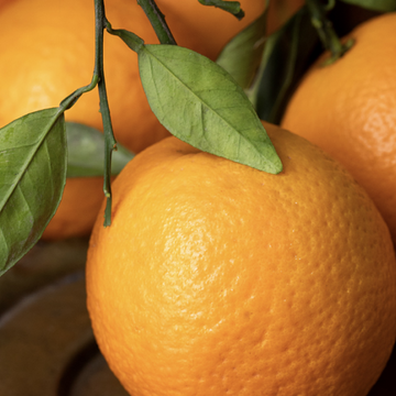 Sweet lime | Mussami