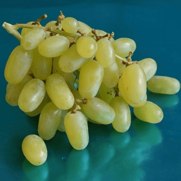 Thompson Seedless Grapes - 1kg