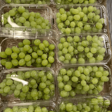 Thompson Seedless Grapes