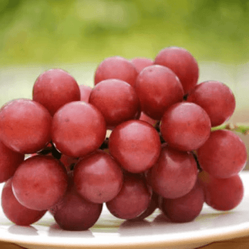 King Ruby Grapes