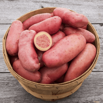 Fingerling Potatoes(فنگرنگ آلو) 1kg