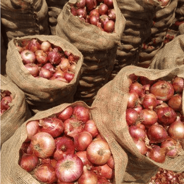 Onion - Piyaz (پیاز)