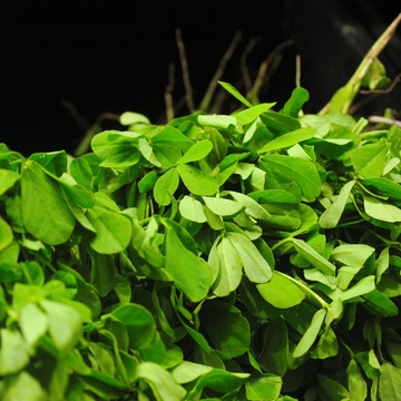 Methi - (میتھی)