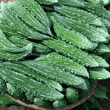 Karela –(کریلے) - 1kg