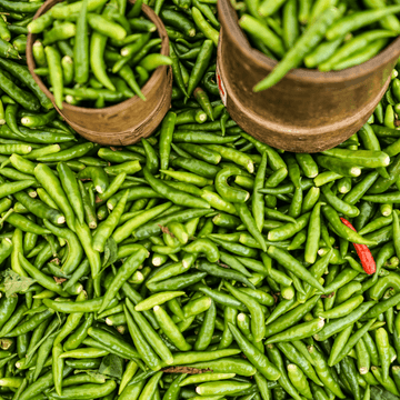 Green Chili Medium-Hari mirch(ہری مرچ)