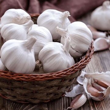 Garlic - China( لہسن )