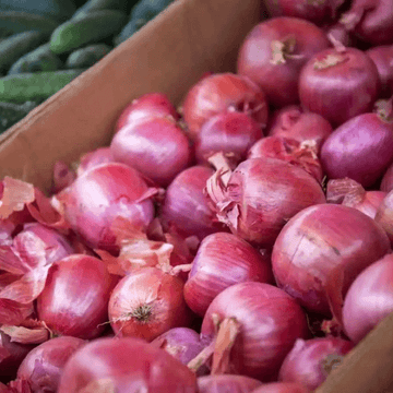 Onion - Pyaaz (پیاز) - 1kg