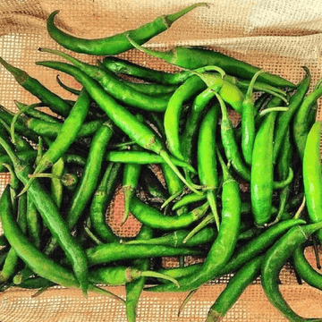 Green Chili Medium-Hari mirch - (ہری مرچ)