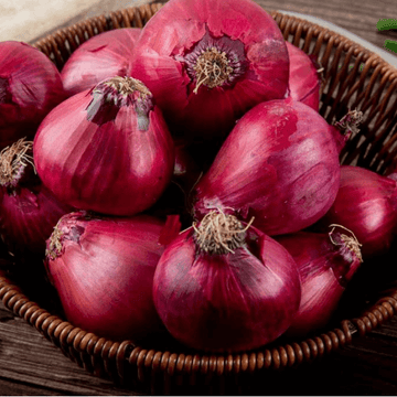 Onion - Pyaaz (پیاز)