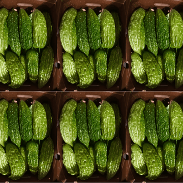 Karela – (کریلے) 1kg