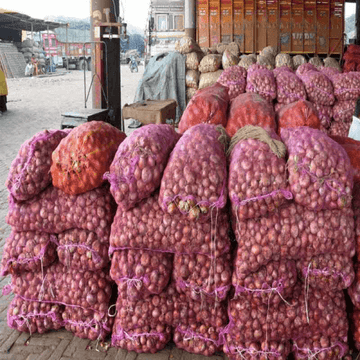 Onion (پیاز) - Piyaz