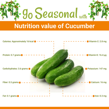 Cucumber - Kheera (کھیرے) Nutrition