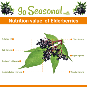 Elderberries(الڈر بیریز) Nutrition