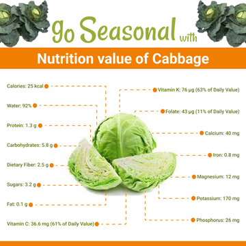 Cabbage Nutrition