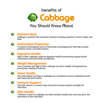 Cabbage Benefits