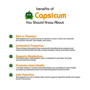 Benefits of Shimla Mirch