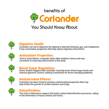 Coriander-Dhanya (سبز دھنیا) Benefits