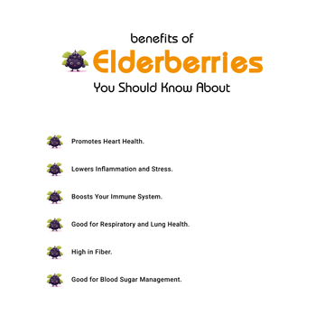 Elderberries(الڈر بیریز) Benefits