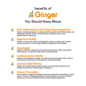 Ginger - Adrak ( ادرک ) Benefits
